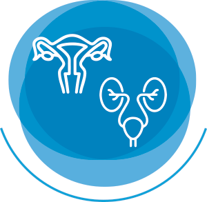 Ginecología y Urología